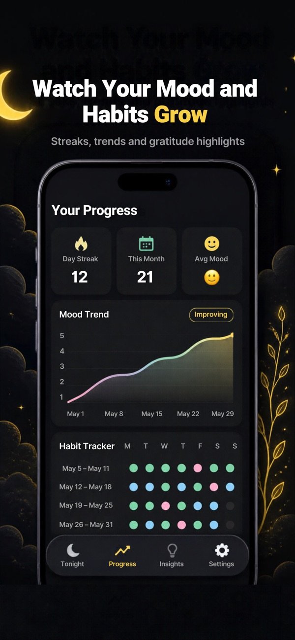 Evening Reset-Record Journal screenshot 2