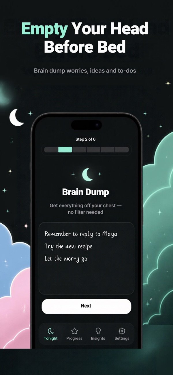 Evening Reset-Record Journal screenshot 4